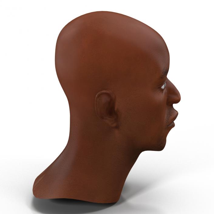 3D African American Male Head 2 model