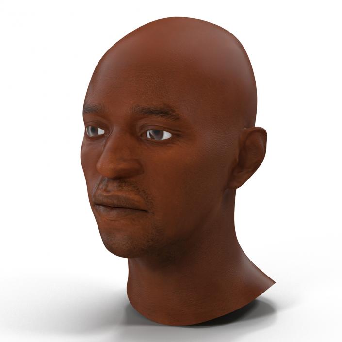 3D African American Male Head 2 model