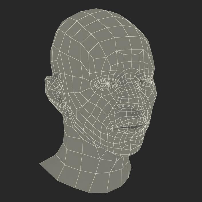 3D African American Male Head 2 model