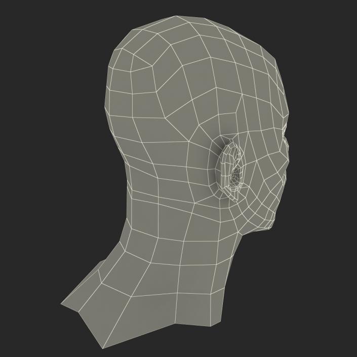 3D African American Male Head 2 model