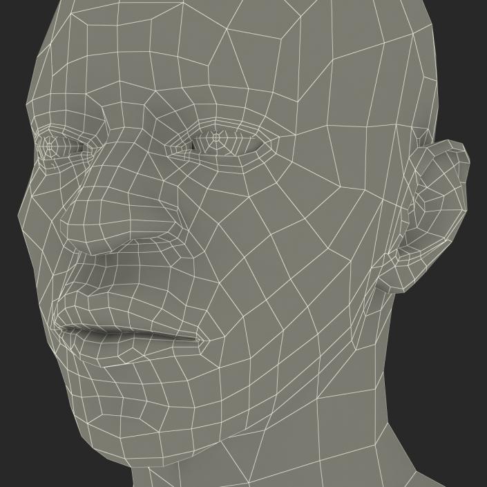 3D African American Male Head 2 model