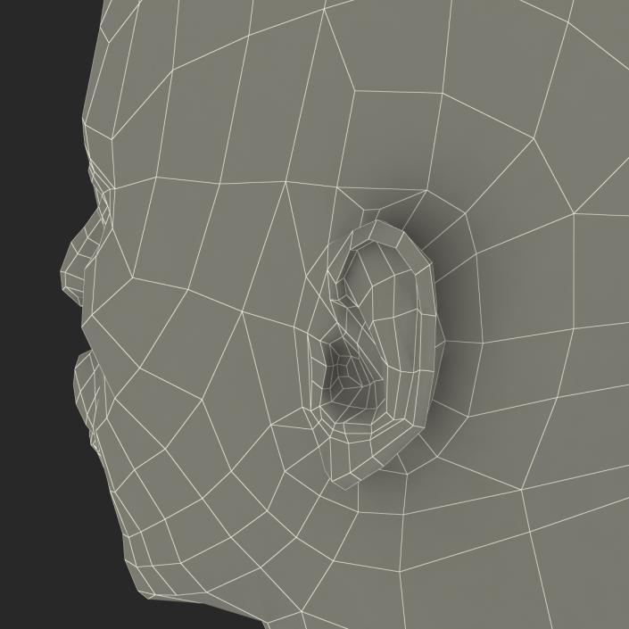 3D African American Male Head 2 model