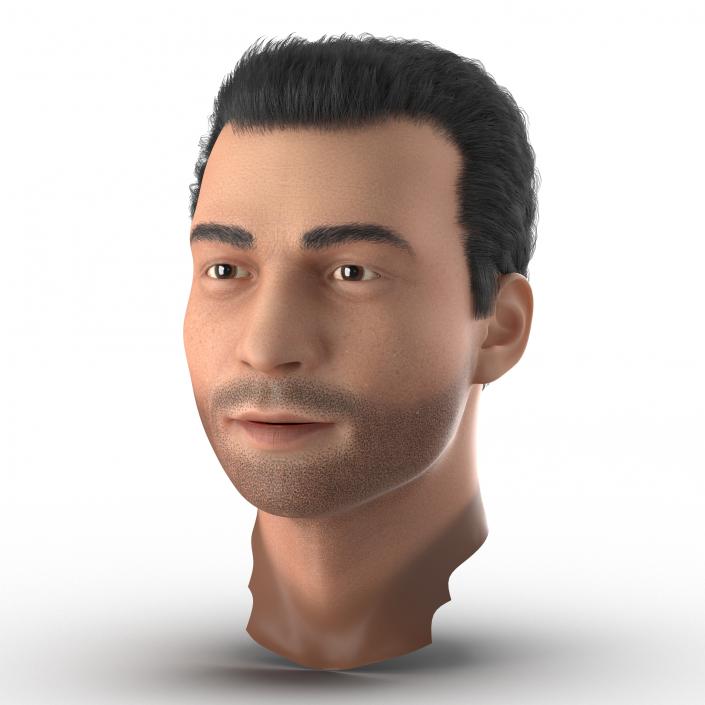 3D Mediterranean Male Head with Hair model