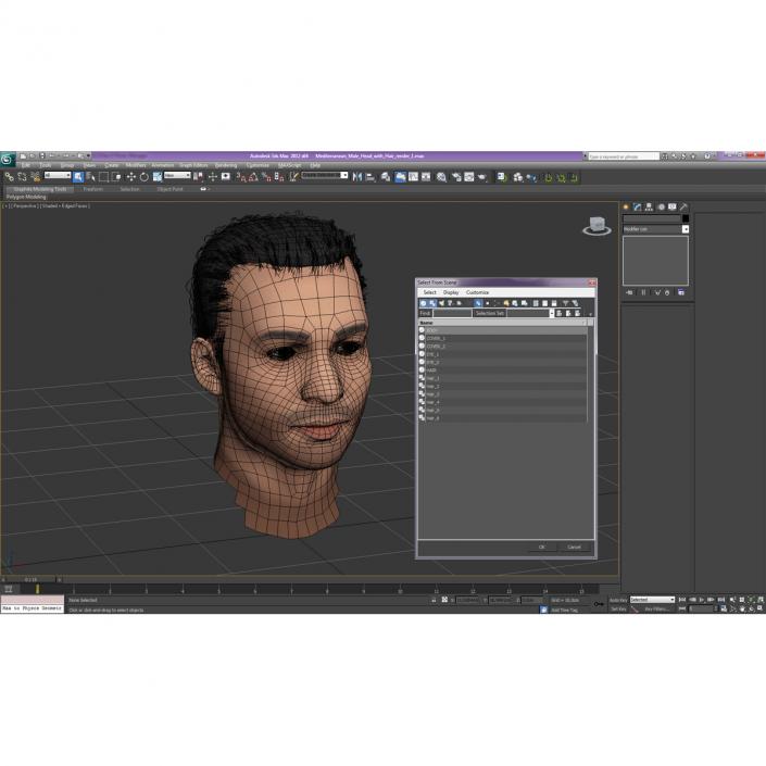 3D Mediterranean Male Head with Hair model