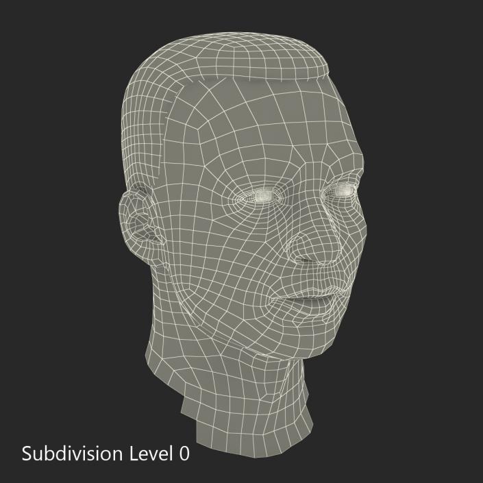 3D Mediterranean Male Head with Hair model