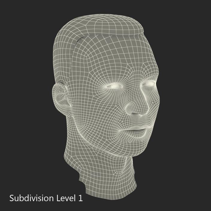 3D Mediterranean Male Head with Hair model