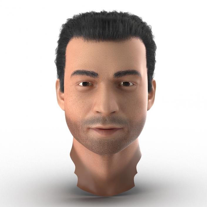 3D Mediterranean Male Head with Hair model