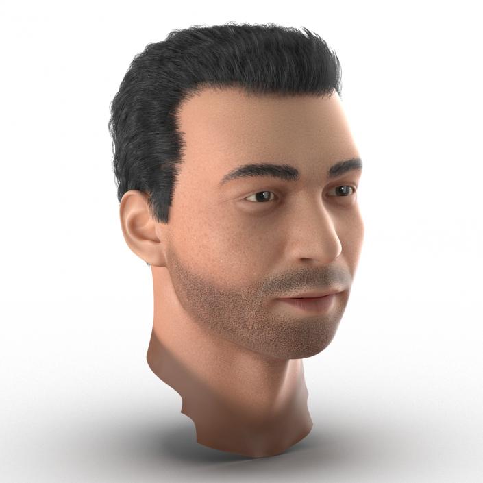 3D Mediterranean Male Head with Hair model