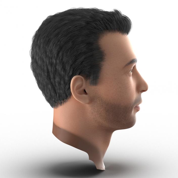 3D Mediterranean Male Head with Hair model