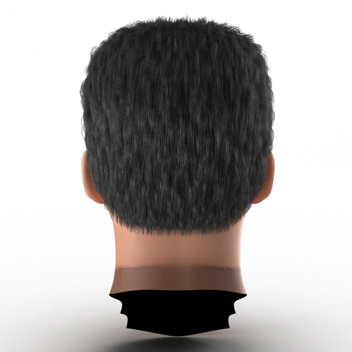 3D Mediterranean Male Head with Hair model