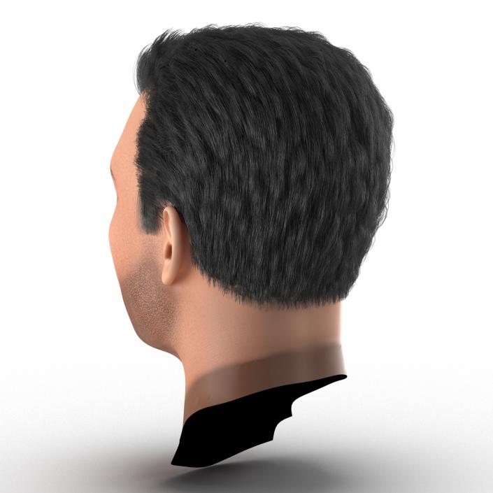 3D Mediterranean Male Head with Hair model