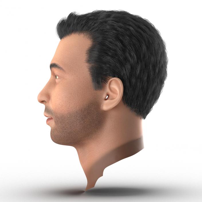 3D Mediterranean Male Head with Hair model