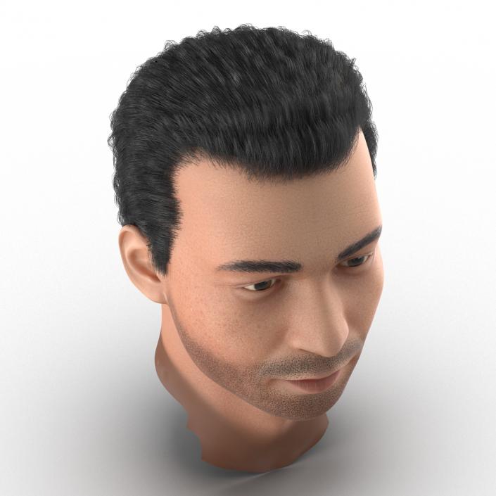 3D Mediterranean Male Head with Hair model