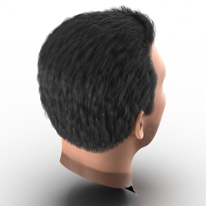 3D Mediterranean Male Head with Hair model