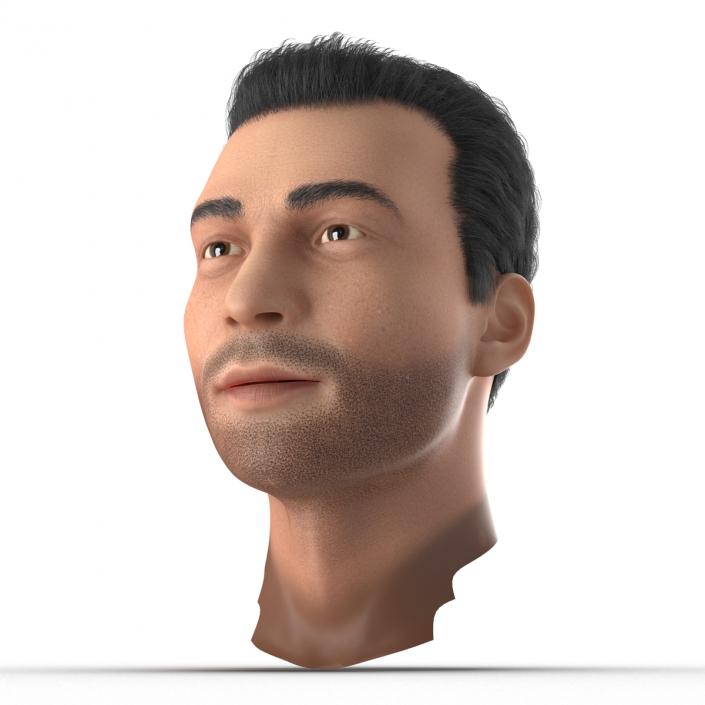 3D Mediterranean Male Head with Hair model