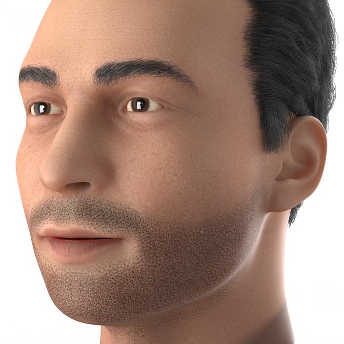 3D Mediterranean Male Head with Hair model