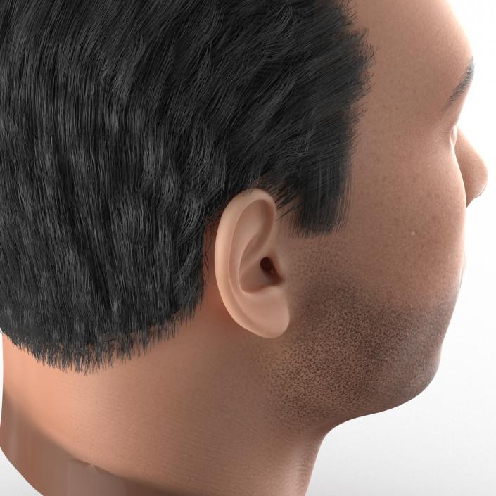 3D Mediterranean Male Head with Hair model