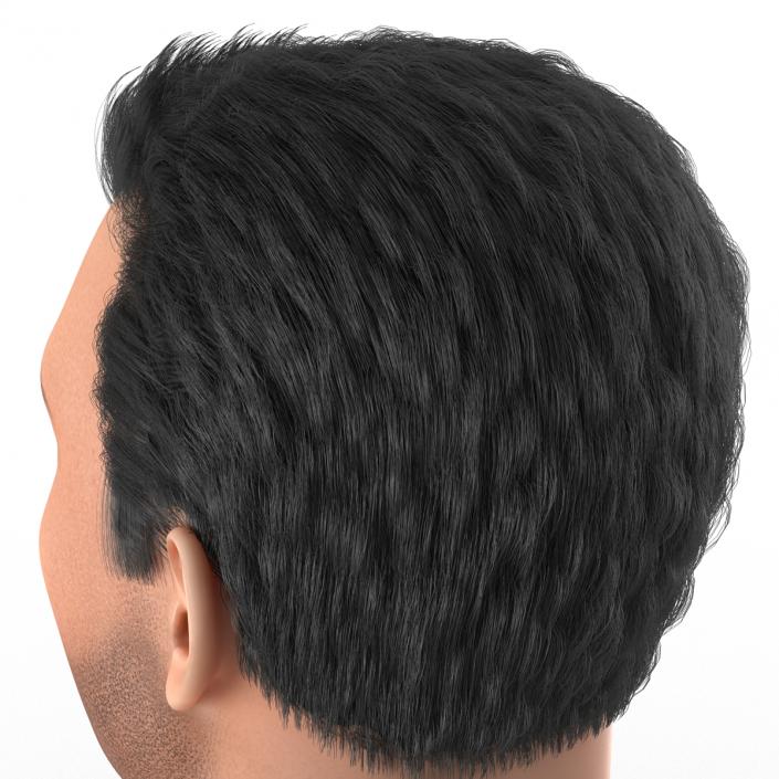 3D Mediterranean Male Head with Hair model