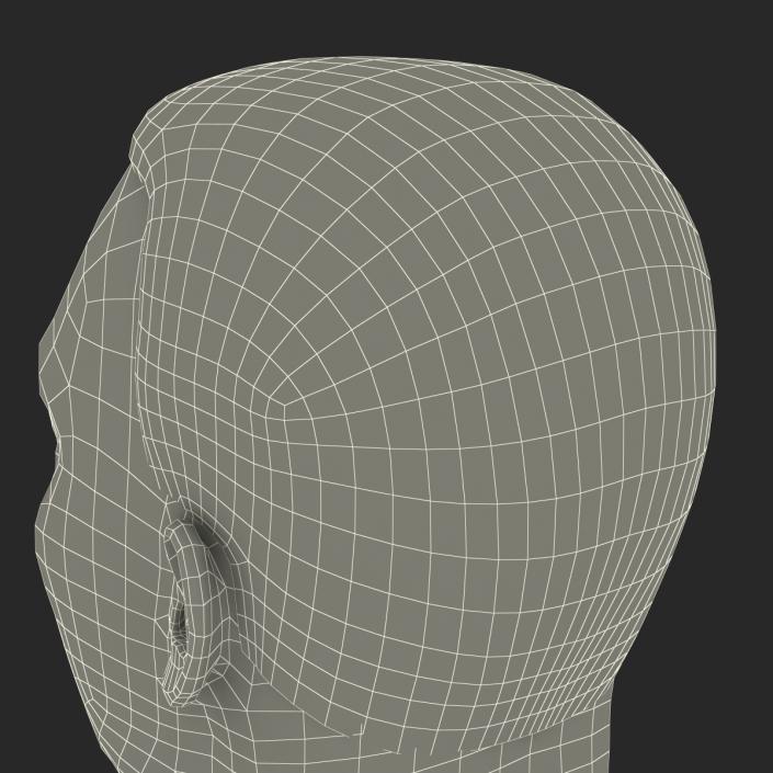 3D Mediterranean Male Head with Hair model