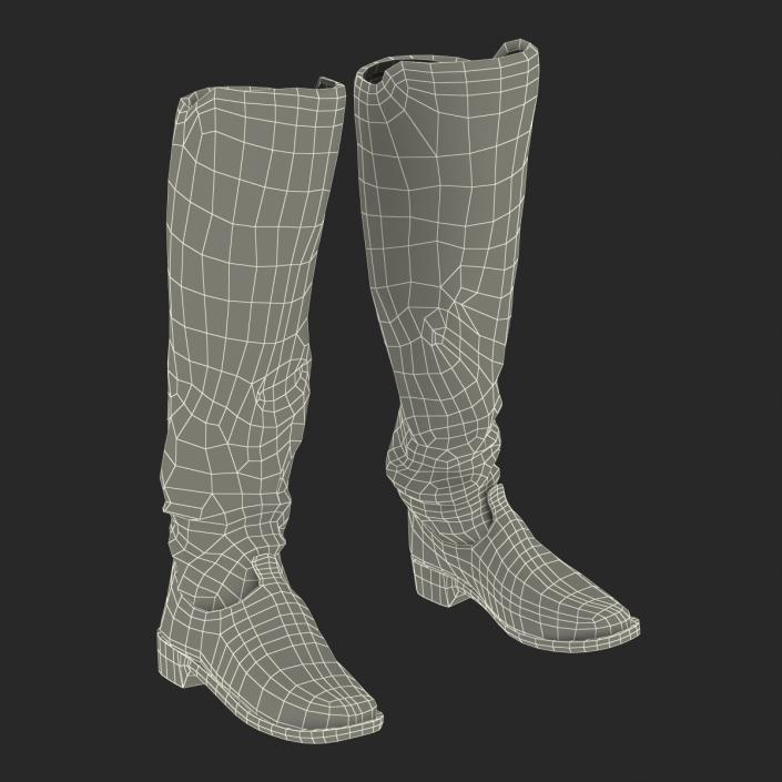 Medieval Leather Boots 3D