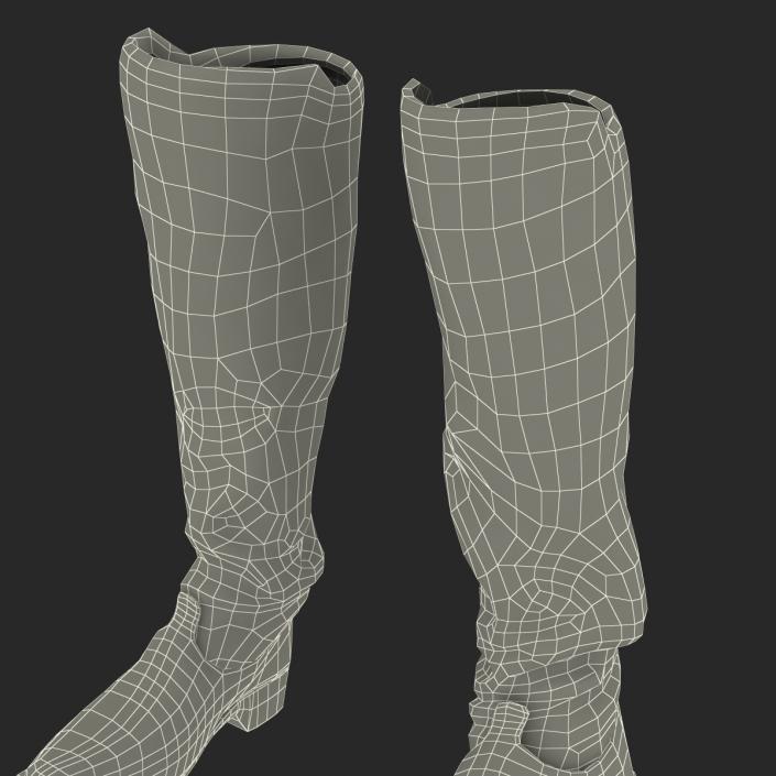 Medieval Leather Boots 3D