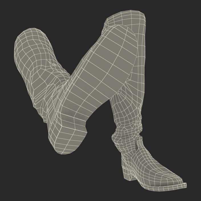 Medieval Leather Boots 3D