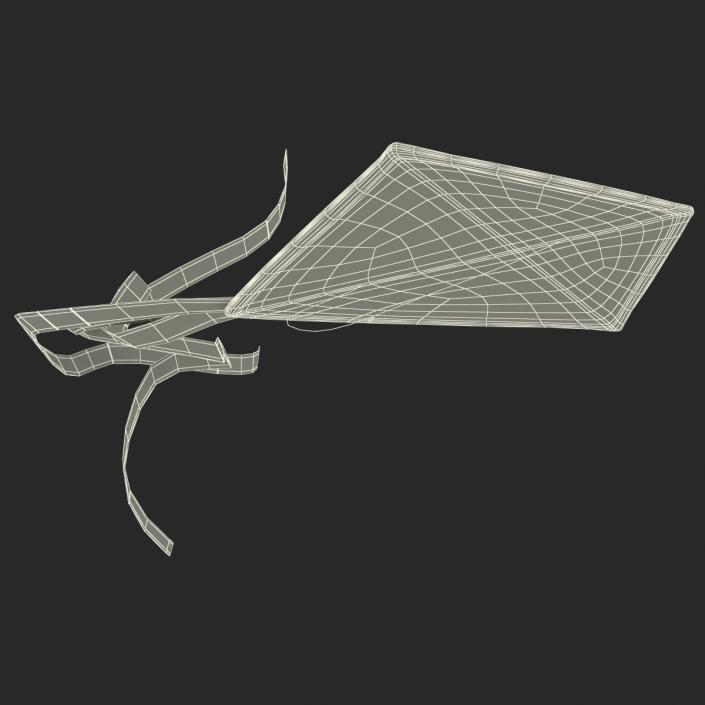 3D model Kite 2