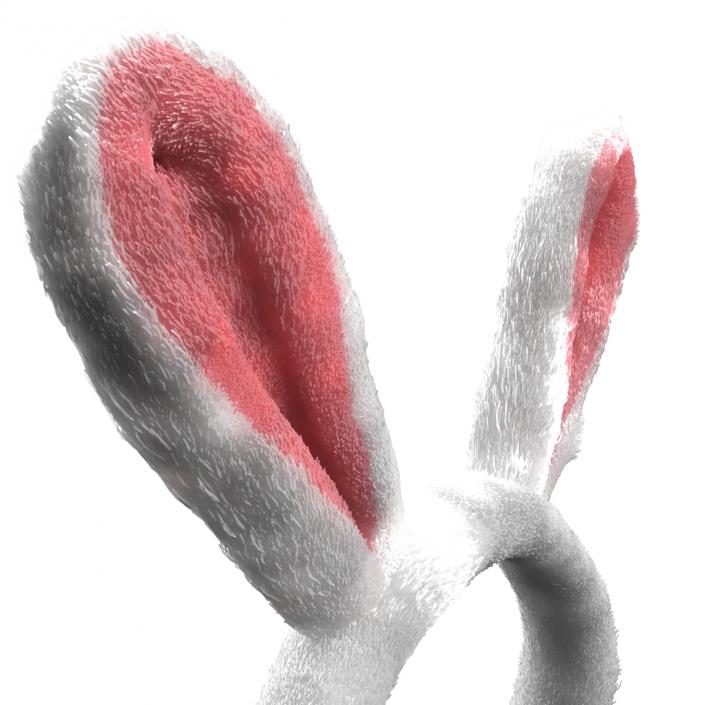 Bunny Ears with Fur 3D model