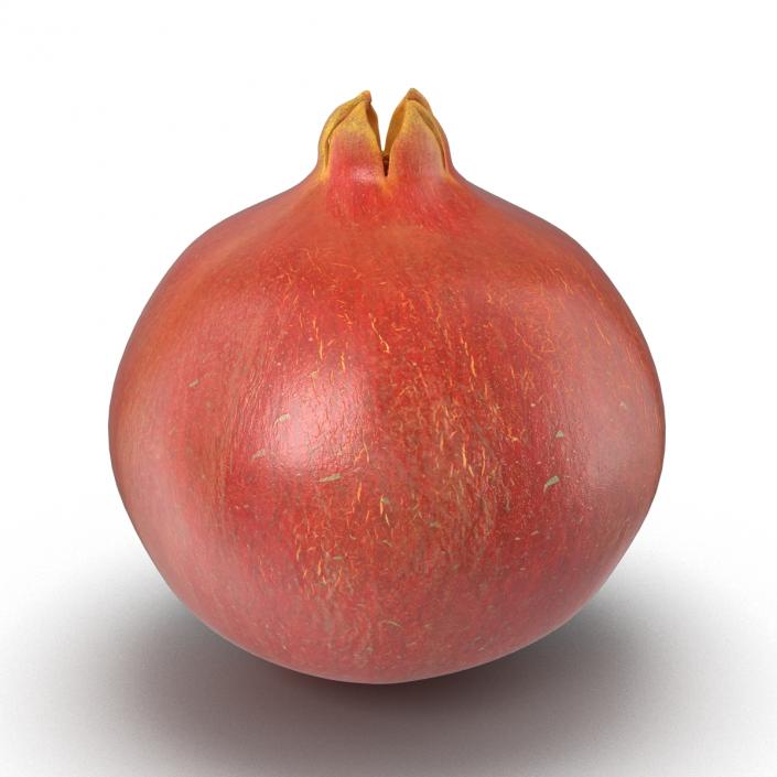 3D Pomegranate 2 model