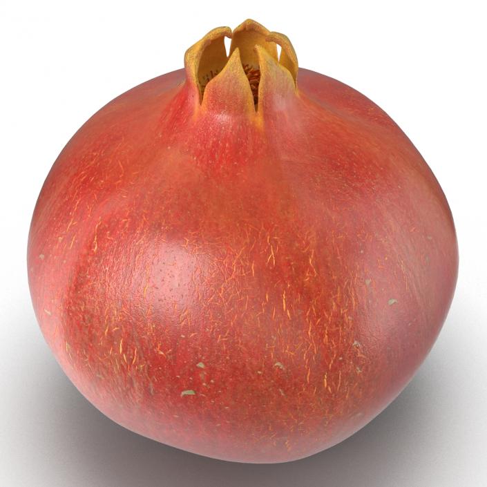 3D Pomegranate 2 model