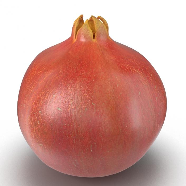 3D Pomegranate 2 model