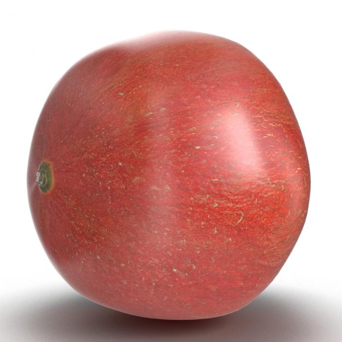 3D Pomegranate 2 model