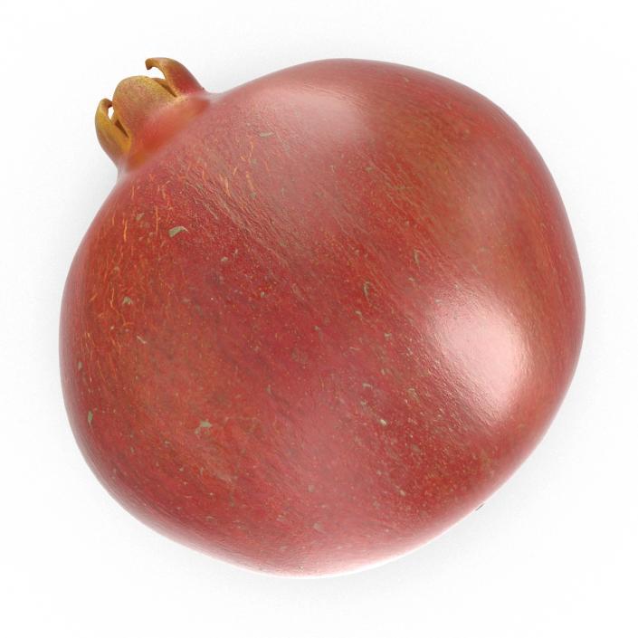 3D Pomegranate 2 model