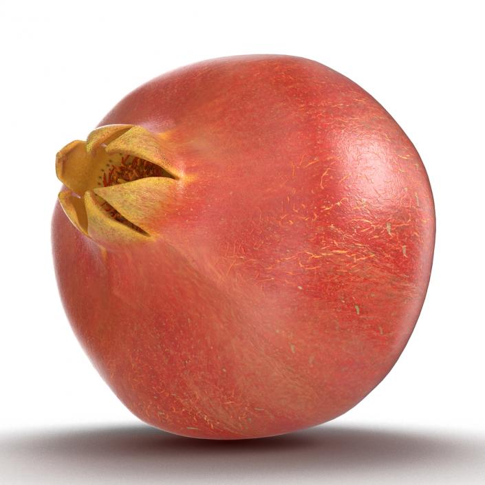 3D Pomegranate 2 model