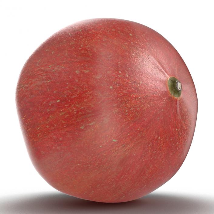 3D Pomegranate 2 model