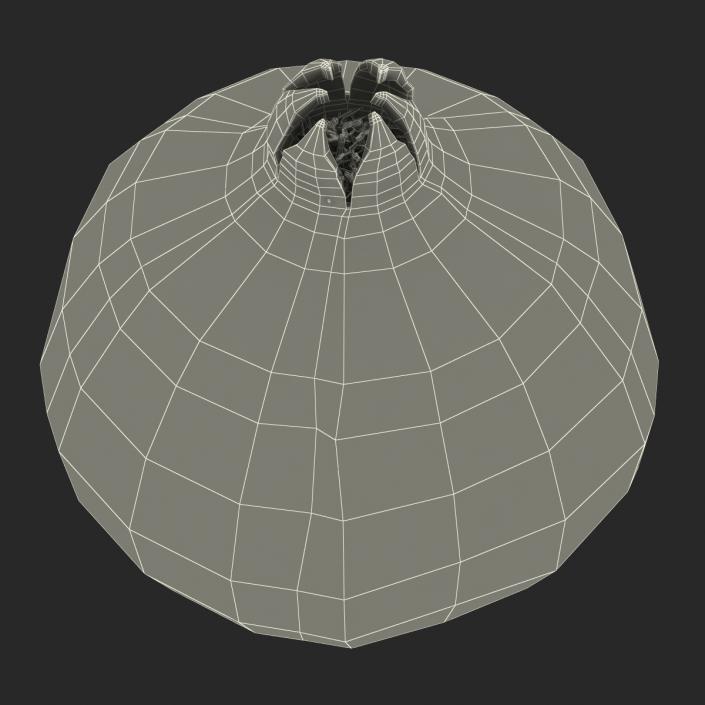 3D Pomegranate 2 model