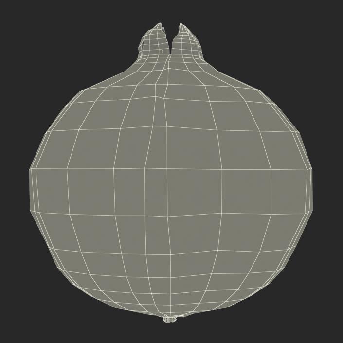 3D Pomegranate 2 model