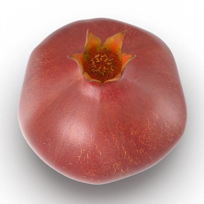 3D Pomegranate 3 model