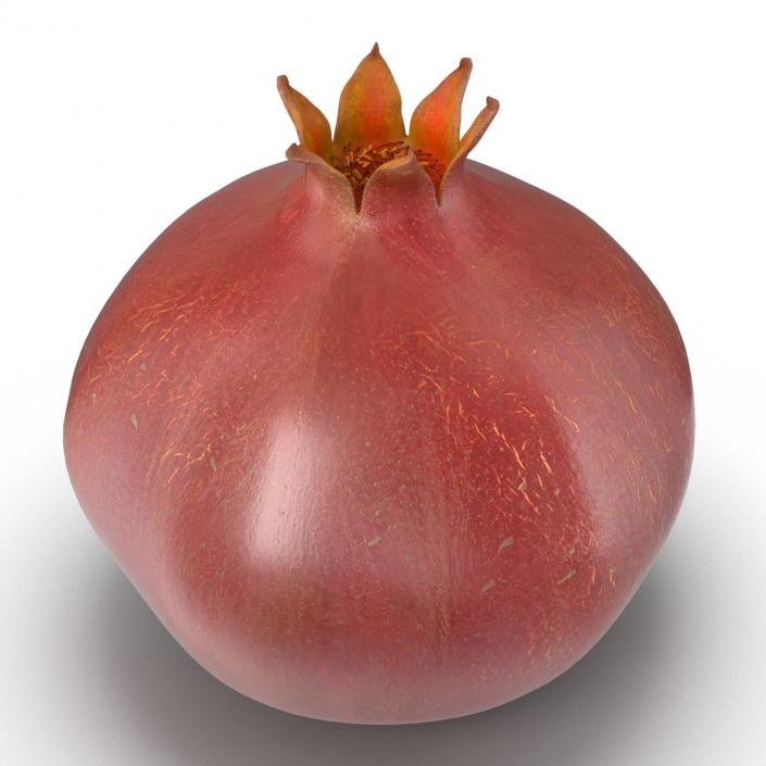 3D Pomegranate 3 model