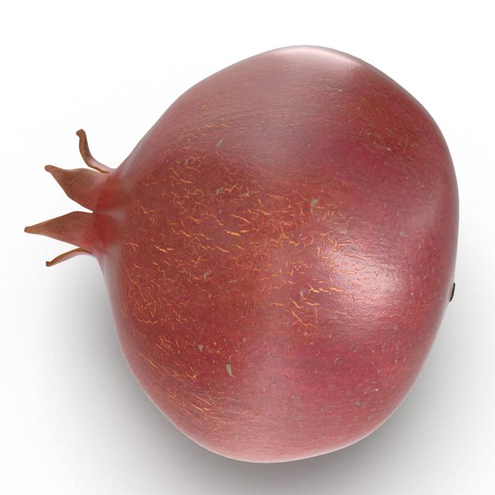 3D Pomegranate 3 model