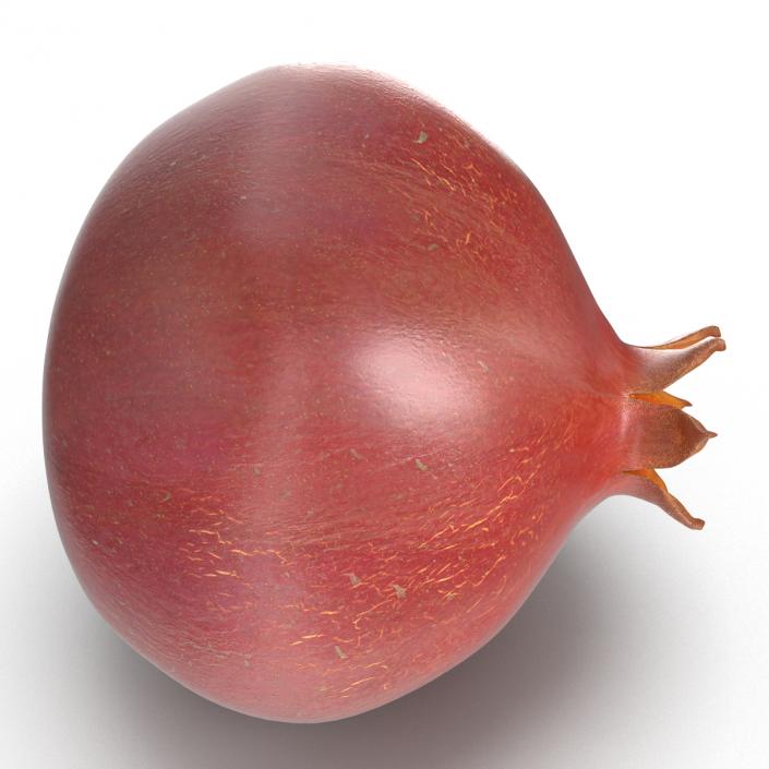 3D Pomegranate 3 model