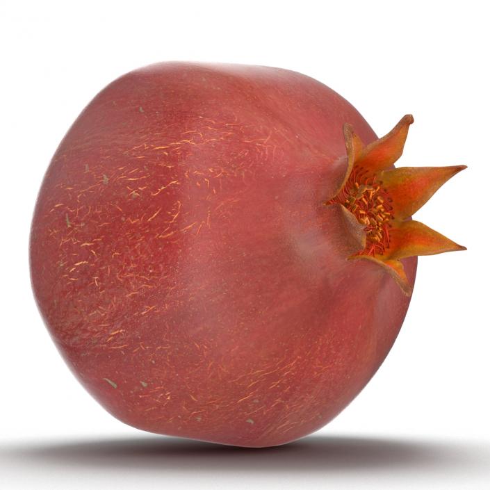 3D Pomegranate 3 model