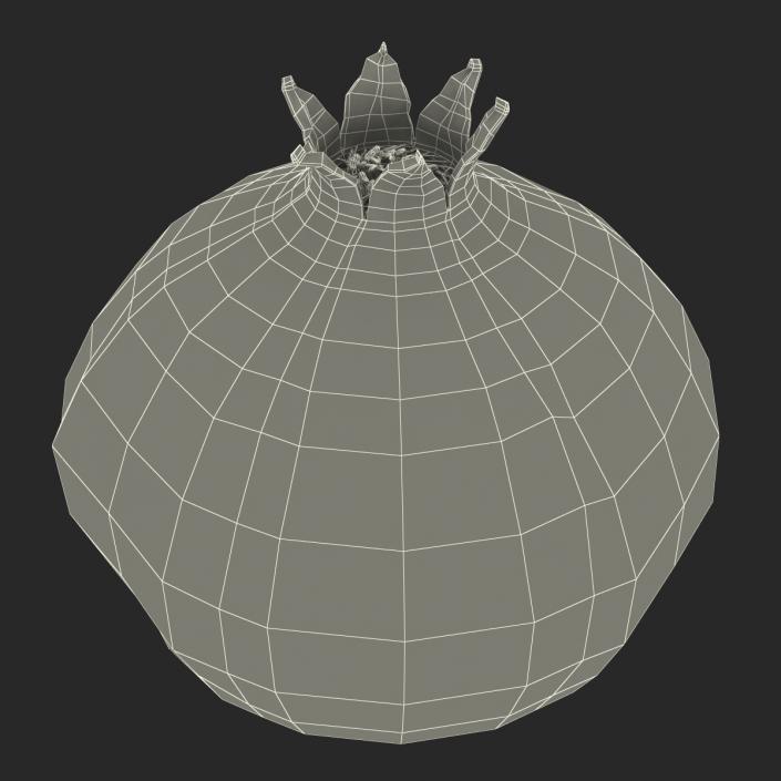 3D Pomegranate 3 model