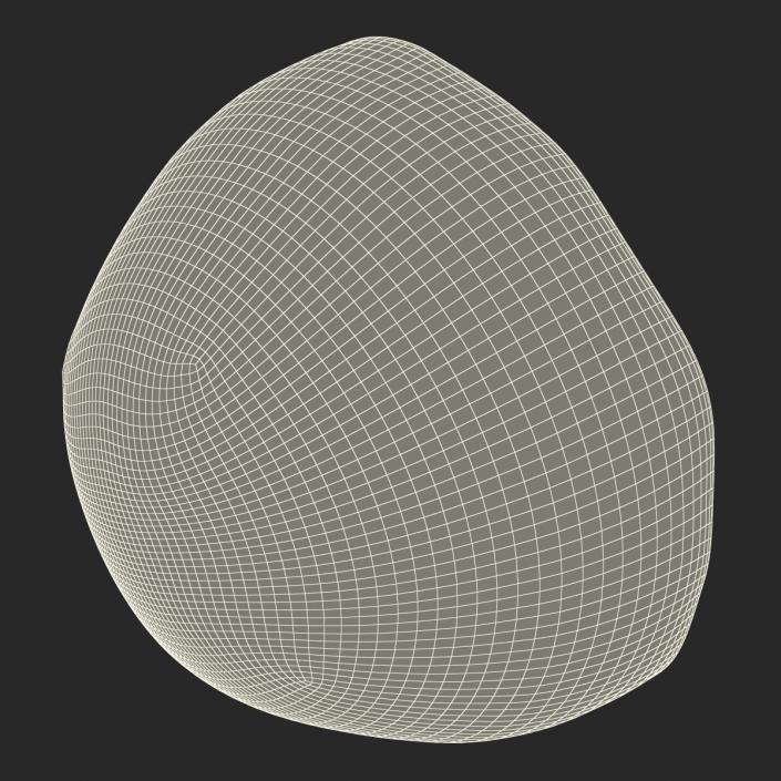 3D Red Grape Cross Section model