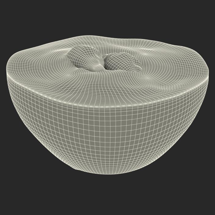 3D Red Grape Cross Section model