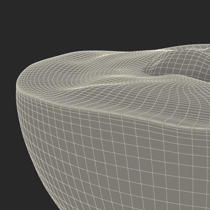 3D Red Grape Cross Section model