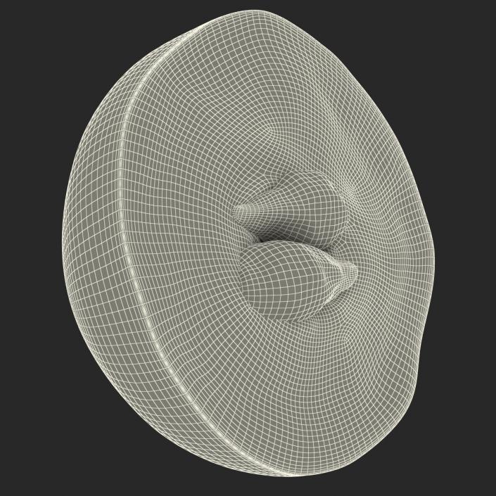 3D Red Grape Cross Section model