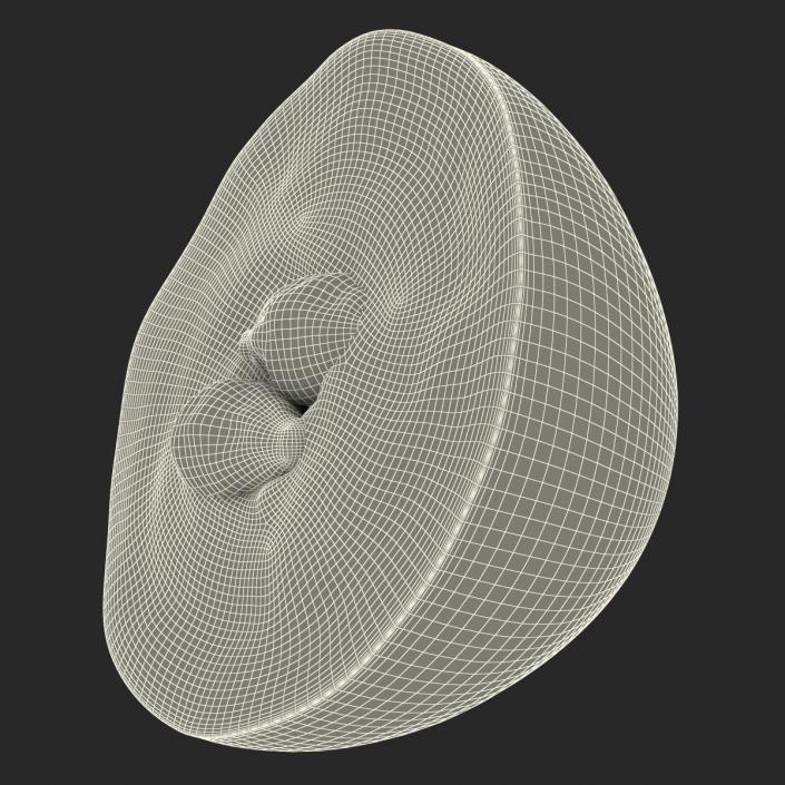 3D Red Grape Cross Section model