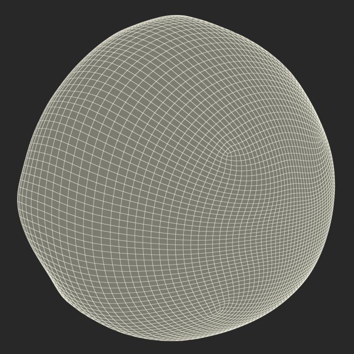 3D Red Grape Cross Section model