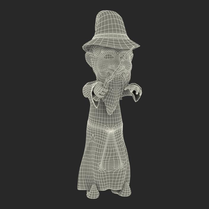 3D Cartoon Wizard Rigged